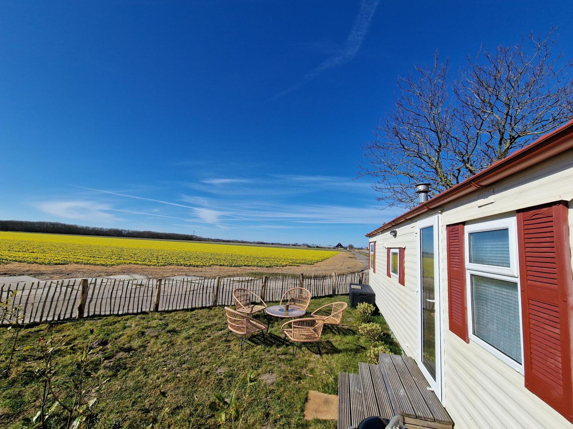 Chalet 'Como La Flor' Julianadorp Flowerfields Overview! Exterior photo